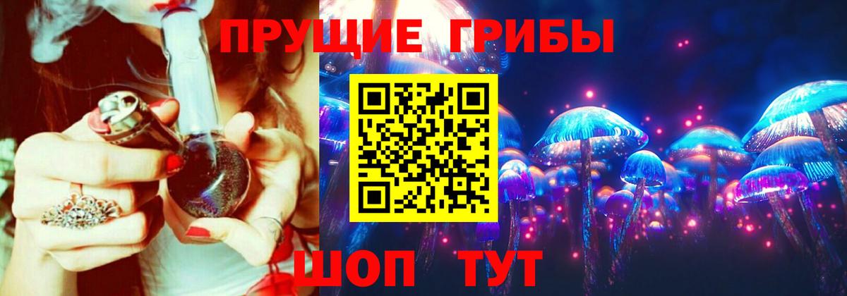 купить наркоту  Псилоцибиновые грибы Psilocybe  Вход с VPN  Симферополь 